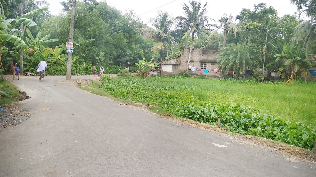 बंगाल उपचुनाव: नंदीग्राम से भाजपा ने चंद्रनाथ रथ की मां हासिरानी रथ को उतारा, टीएमसी के दोनों धड़े मैदान में बंगाल उपचुनाव: नंदीग्राम से भाजपा ने चंद्रनाथ रथ की मां हासिरानी रथ को उतारा, टीएमसी के दोनों धड़े मैदान में
