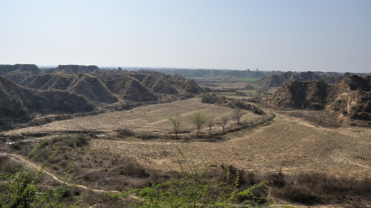 घमासान रिव्यू राउंडअप: डकैत बने अरशद वारसी के अभिनय की तारीफ, तिग्मांशु धूलिया की कहानी पर बंटी राय घमासान रिव्यू राउंडअप: डकैत बने अरशद वारसी के अभिनय की तारीफ, तिग्मांशु धूलिया की कहानी पर बंटी राय